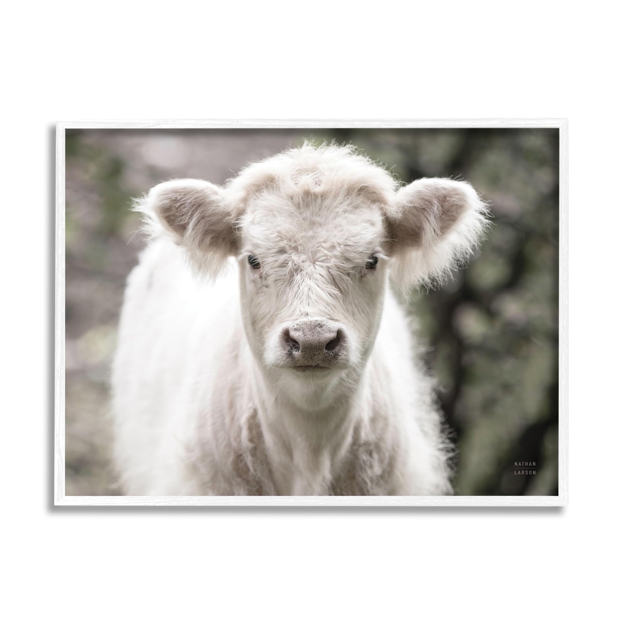 Stupell Industries White Cow Calf Portrait White Framed Giclee Art Design by Nathan Larson