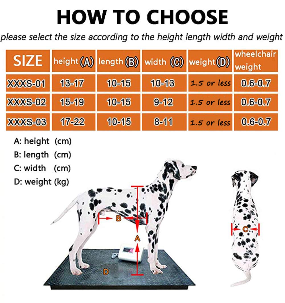 Carrellino per Cani Disabile Gatto Coniglio Cuccioli Ferito, per La Riabilitazione delle Zampe Posteriori E dei Piedi di Cani E Gatti Disabili di Peso Inferiore A 1.5 kg