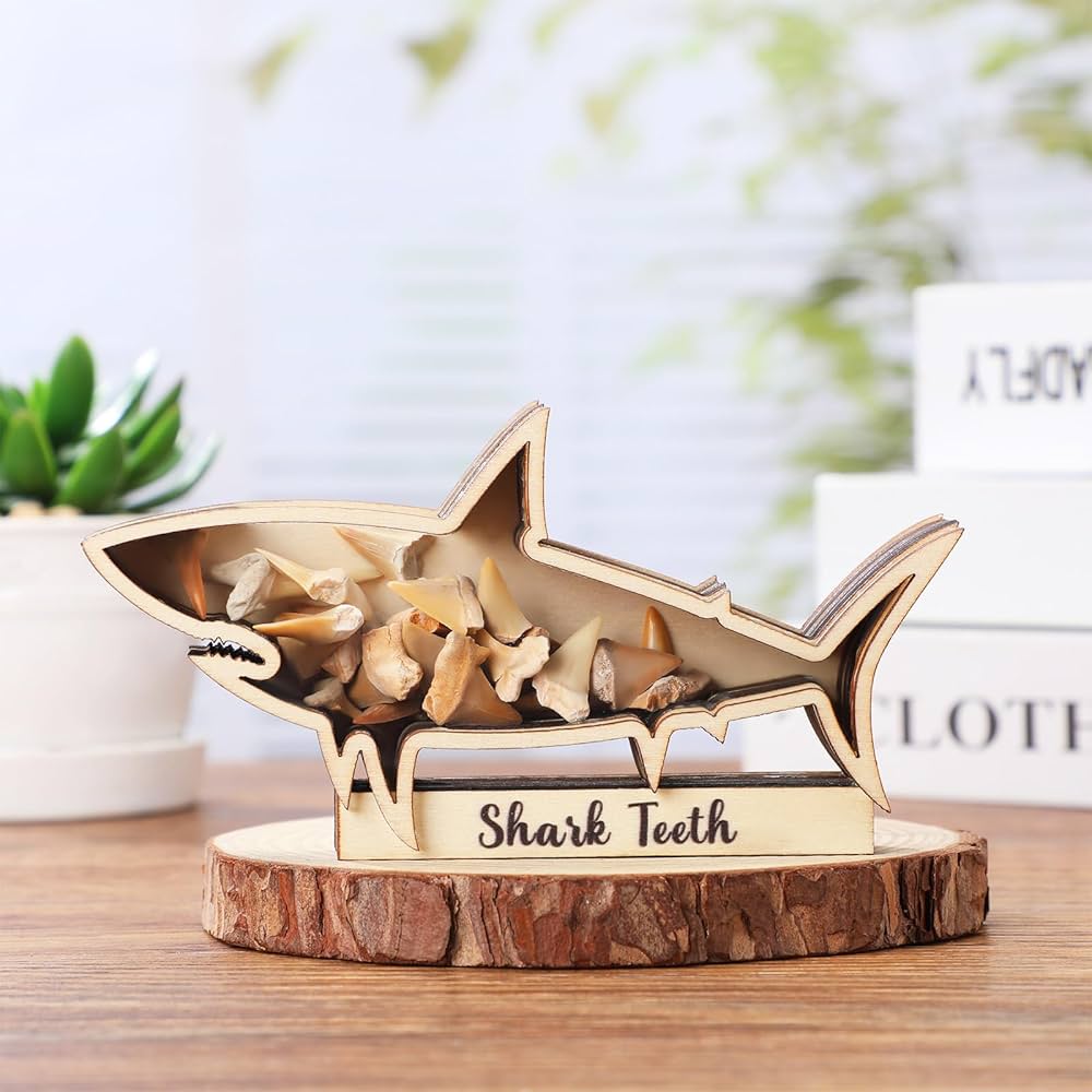 サメの歯　化石　4点ケース付き 楽天市場】ホホジロザメ 歯 化石 原石 モロッコ産種類お任せ【約1.5g