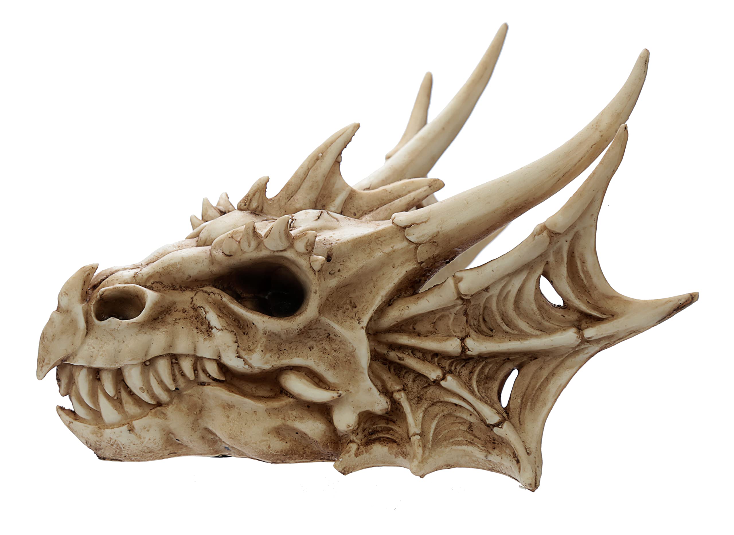 Puckator Dekofigur Drachenkopf, Kunstharz, gemischt, H 16,5 cm, B 22,5 cm, T 25 cm