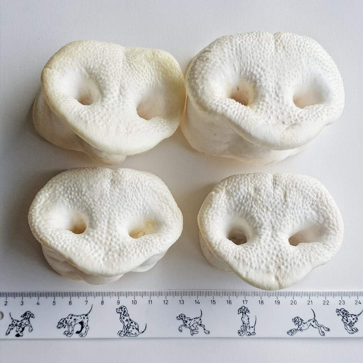 Schweinenasen 50 Stück. gepuffte Honignasen, wie Schweineohren, Kausnack,Kauartikel