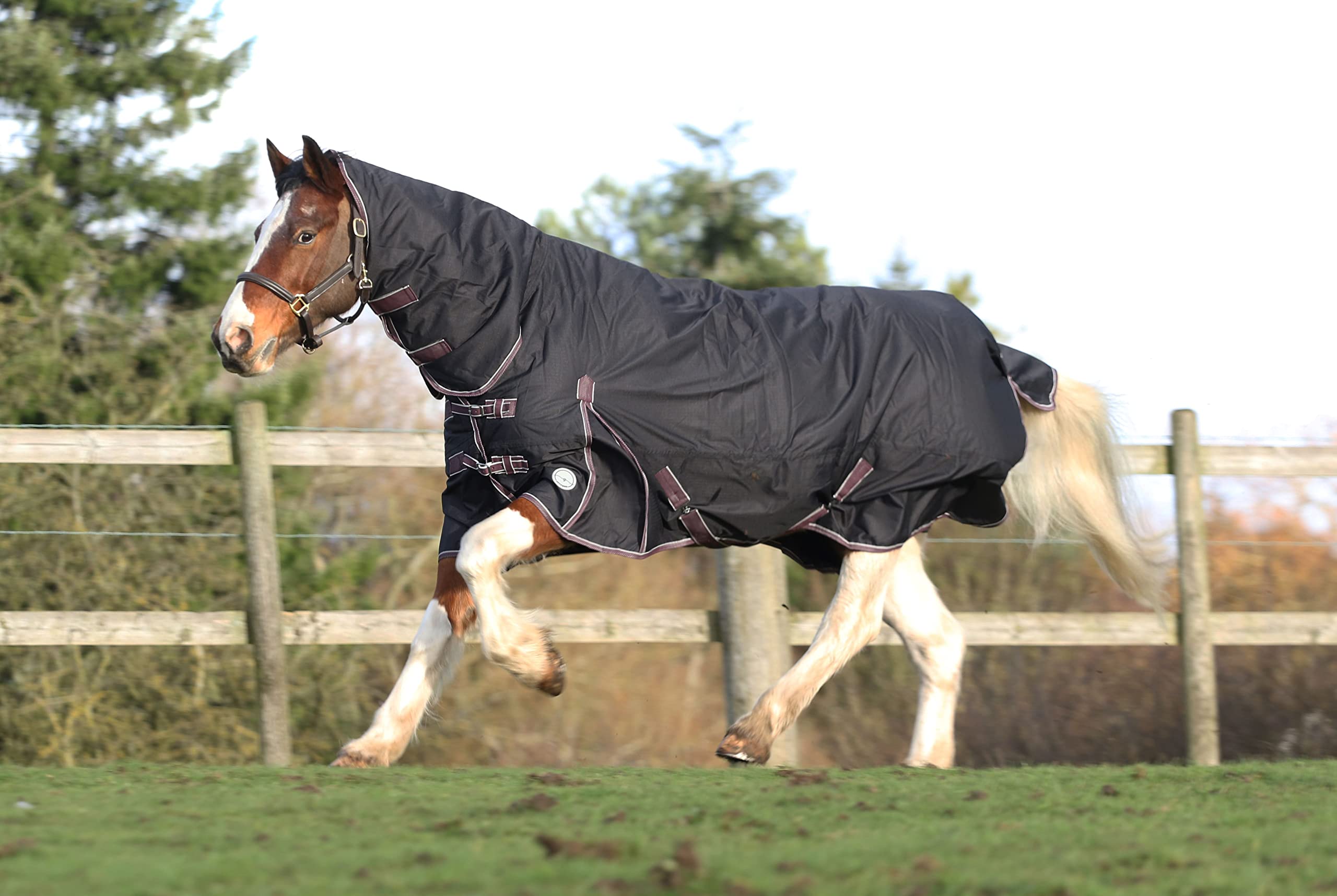 Equestrian King Heavyweight Winter Combo Turnout Horse Rug 350g Standard And Full Neck Black With Blue Binding (COMBO, 5'9'')