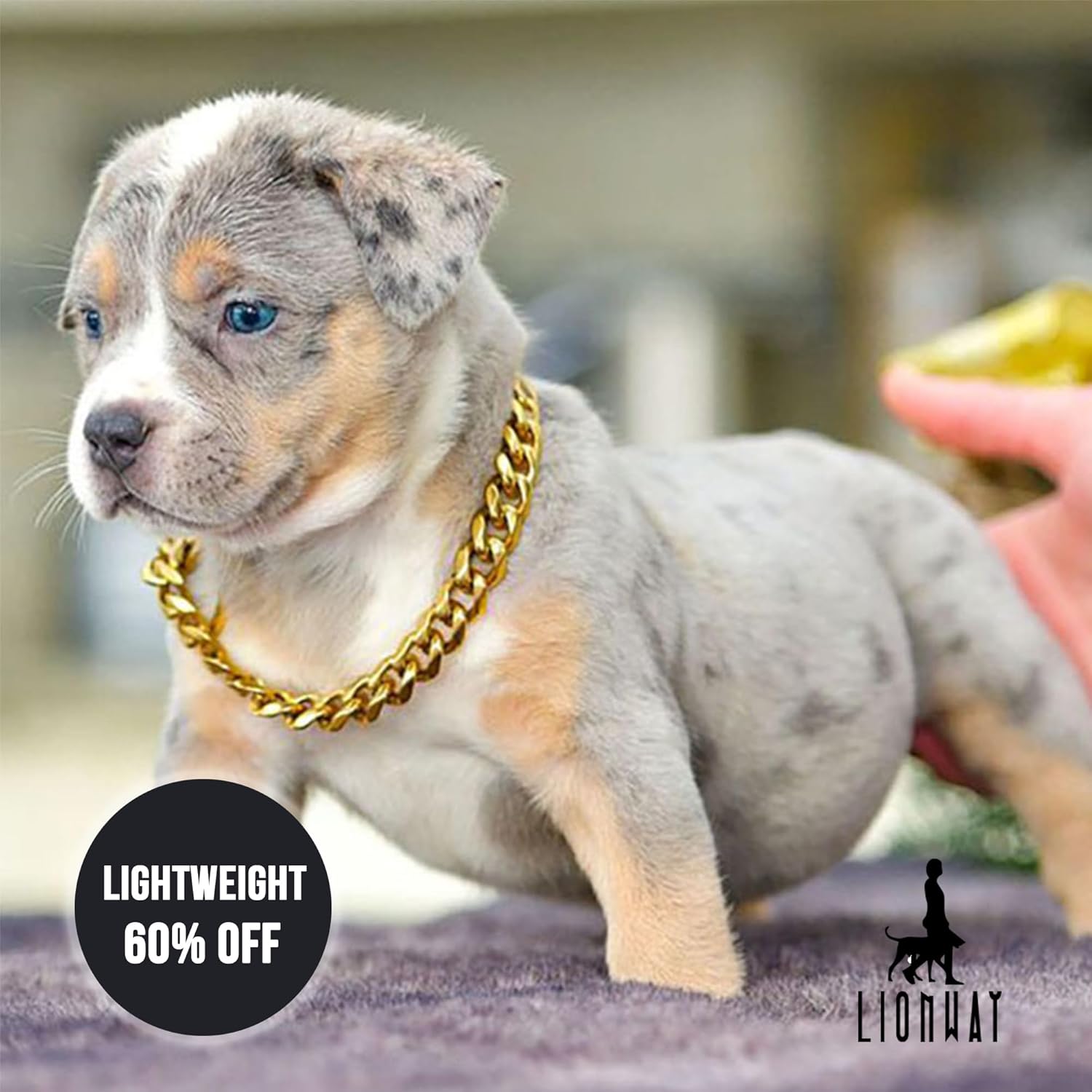19mm 18K Gold Cuban Link Chain Collar - Lightweight & Durable Dog Collar with O-Ring Clasp - Fits 10" to 26" Neck (9 Sizes) - Hypoallergenic Pet Jewelry (12 Inch)