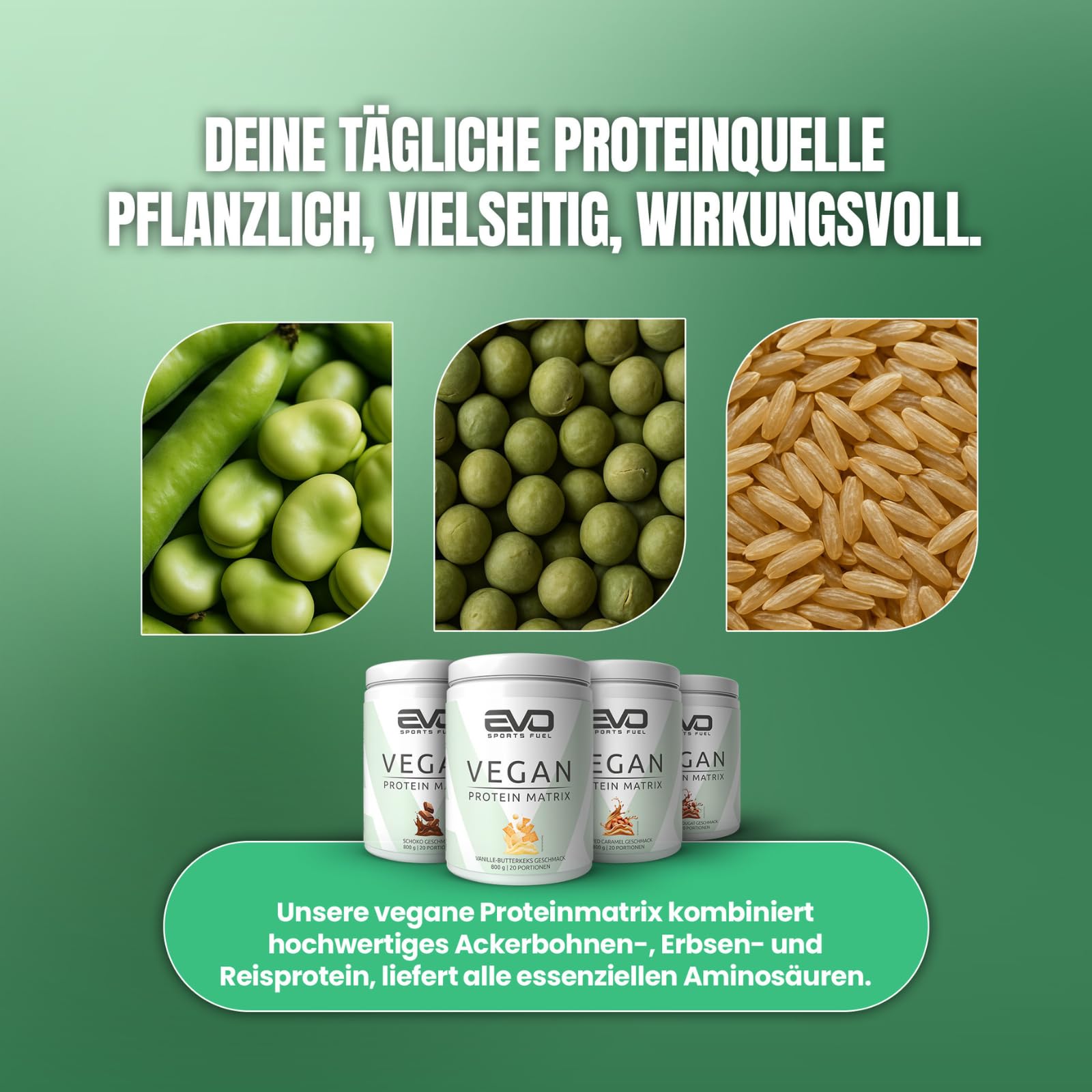 EVO SPORTS FUEL Veganes Proteinpulver Matrix | Schoko | 800g | Eiweißpulver mit 3g Leucin pro Portion für eine maximale Proteinsynthese | geprüfte Qualität | Made in Germany