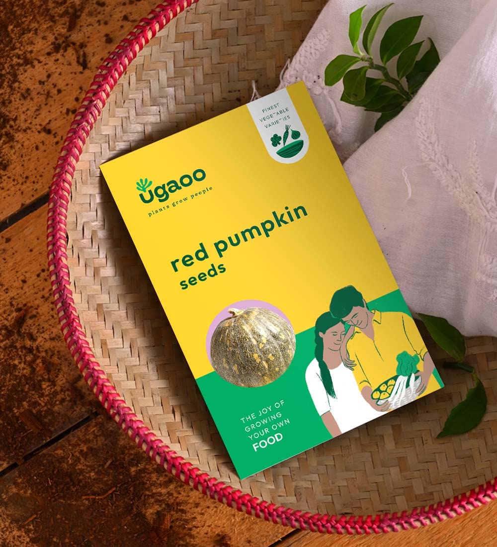 UGAOO Red Pumpkin Vegetable Seeds (Pack of 2g)-picture-4