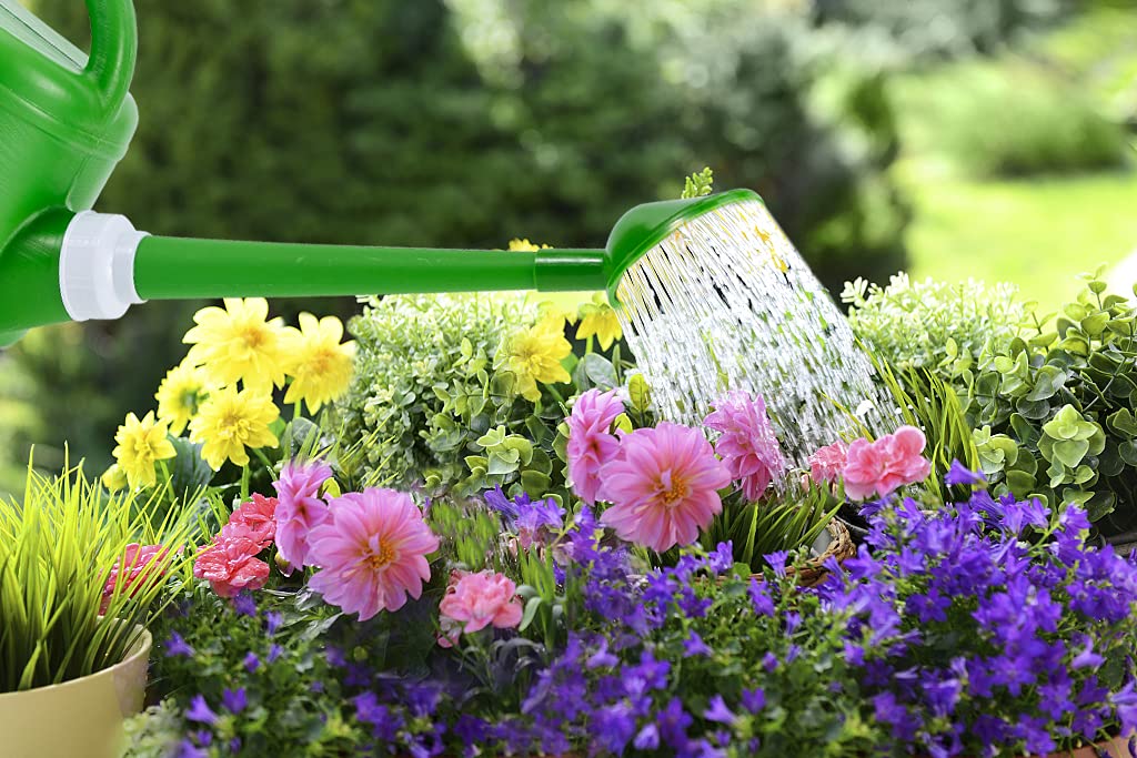 Annaffiatoio in plastica per piante da interno ed esterno da 4 litri, vaso per irrigazione da giardino con beccuccio lungo e testa irrigatore rimovibile con rotazione a 360 gradi, verde