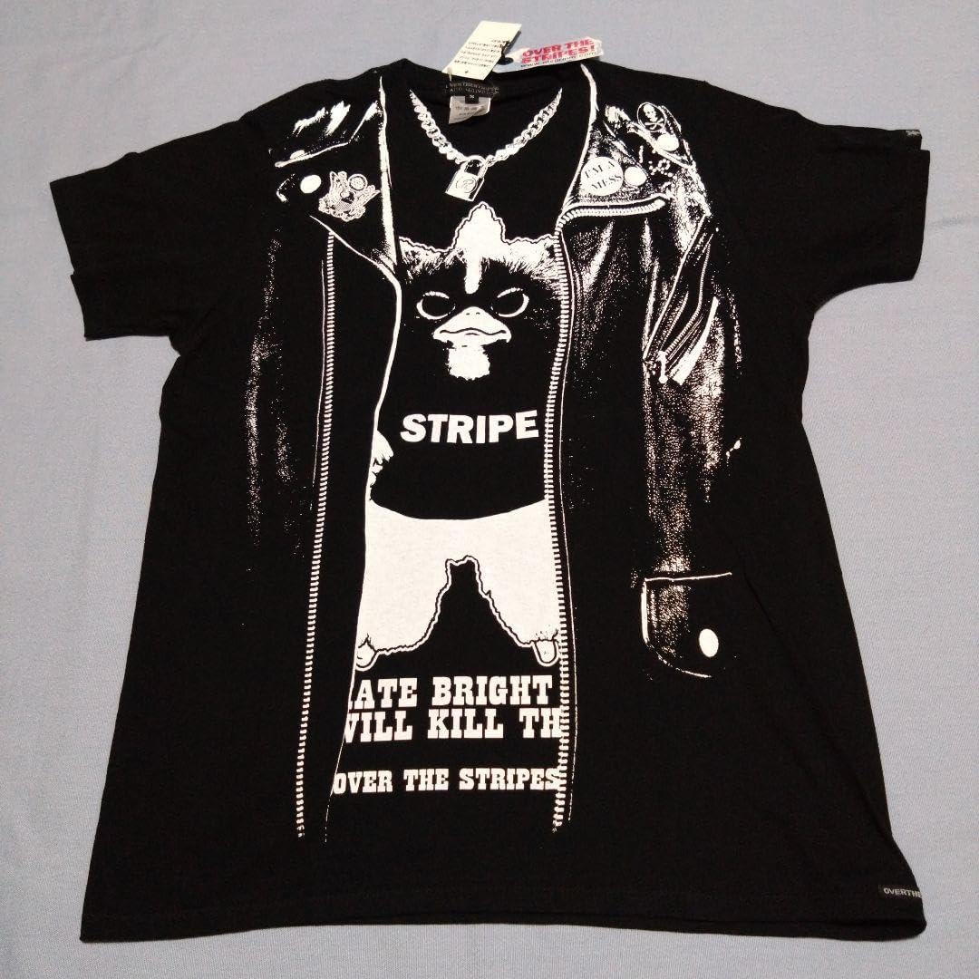 極美品！扇華文様 シャンパンゴールド 桜 菊 正絹 袋帯 二重太鼓 作り帯 極美品！扇華文様 シャンパンゴールド 桜 菊 正絹 袋帯 二重太鼓