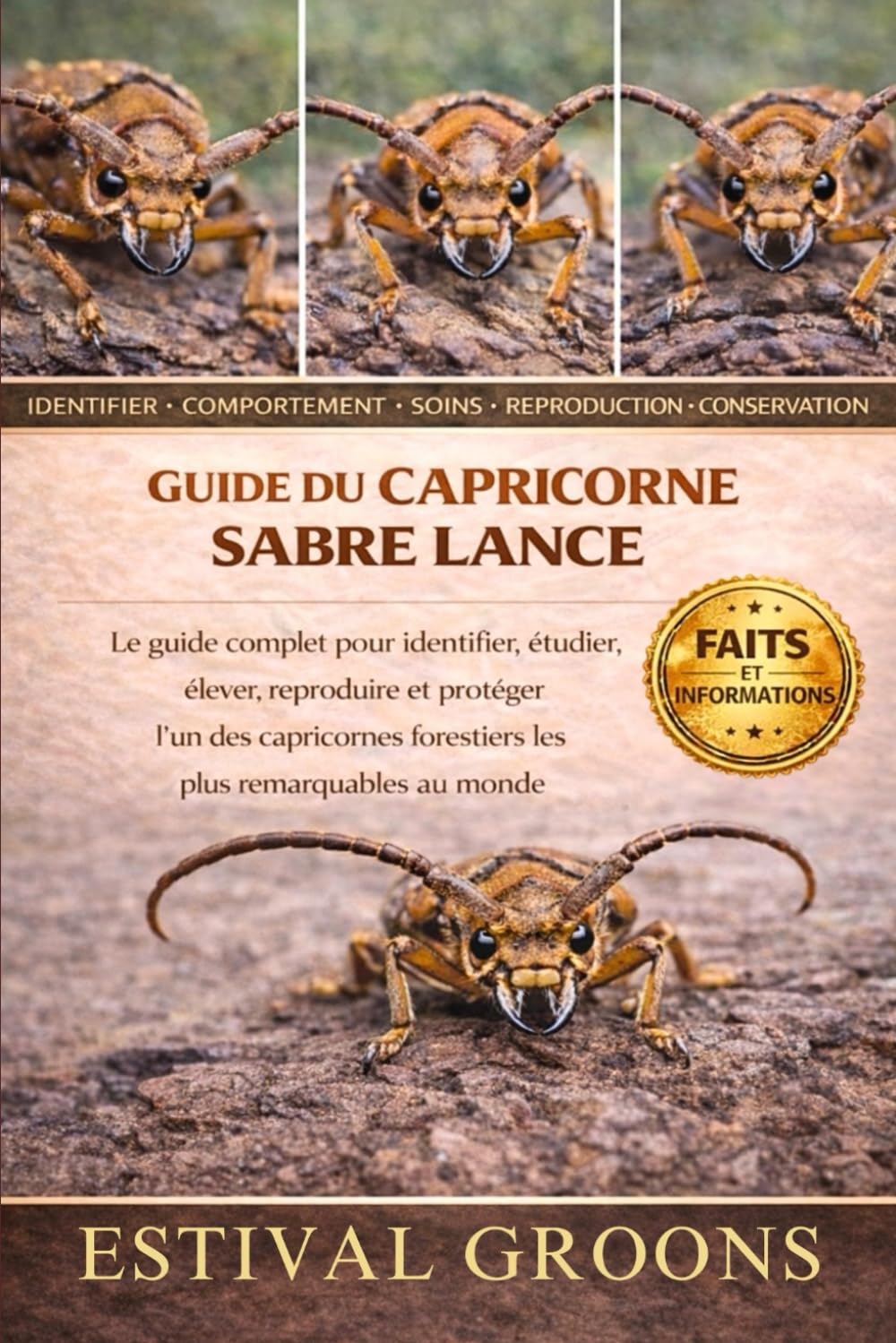 Guide du Capricorne sabre lance : livre d'identification et élevage des capricornes forestiers