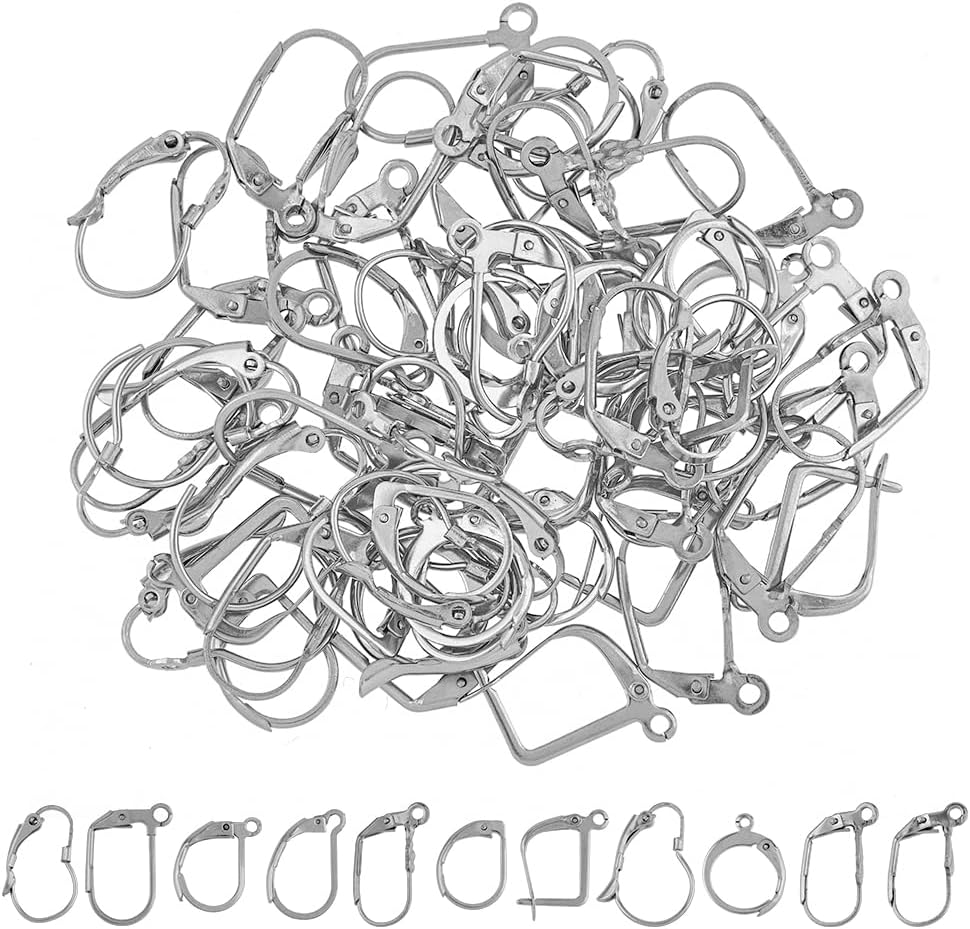 HOBBIESAY80Pcs 10 Style Stainless Steel Earring Findings French Earring Hooks Set 316 Surgical Leverback Earring Findings with Hoop Earring Findings for DIY Jewelry Making
