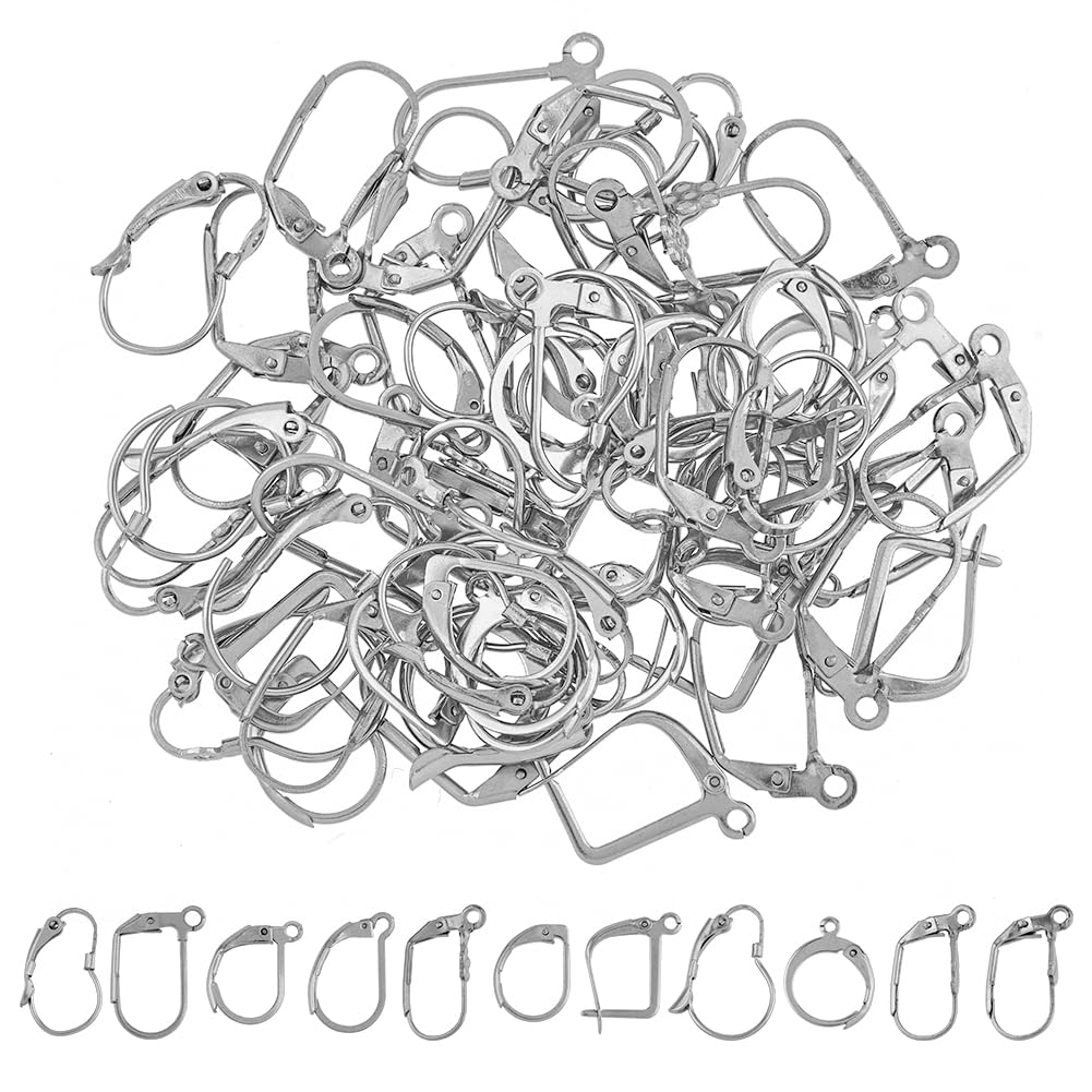 HOBBIESAY80Pcs 10 Style Stainless Steel Earring Findings French Earring Hooks Set 316 Surgical Leverback Earring Findings with Hoop Earring Findings for DIY Jewelry Making