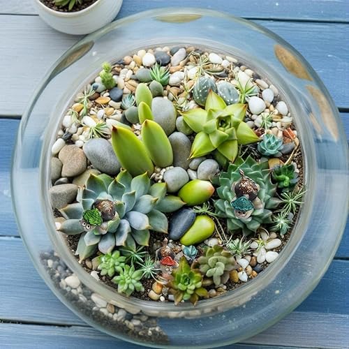 Miniatura 4 de VOSAREA 8 figuras de tortugas marinas en miniatura, adornos de pequeñas estatuas de tortugas marinas, mini figuras de tortuga para bricolaje, micro