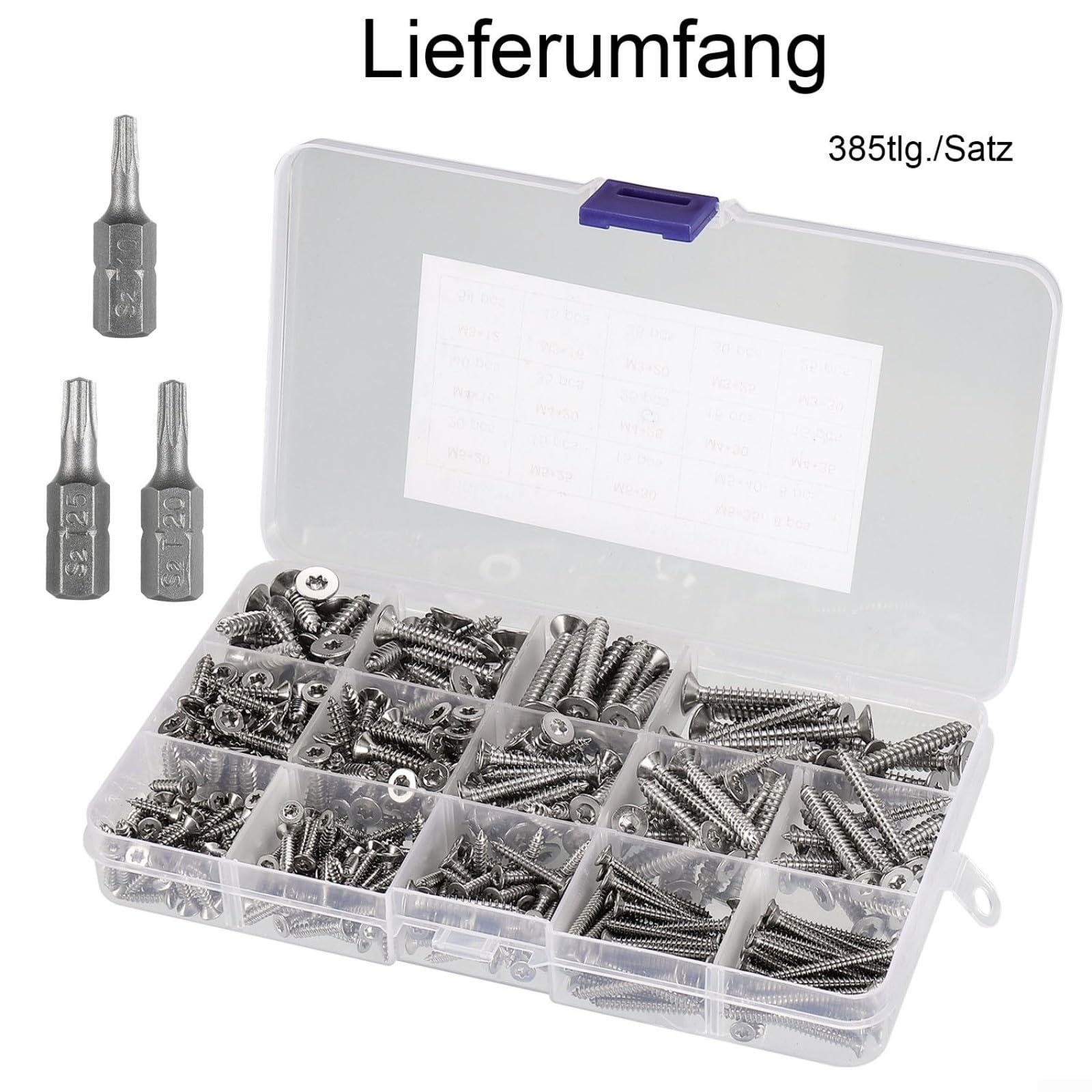 Kit di viti autofilettanti in acciaio inox per torx, 385 pezzi, con punte | Acciaio inossidabile 304, per testa svasata torx, nessuna pre-foratura necessaria, scatola organizzata per metallo, legno