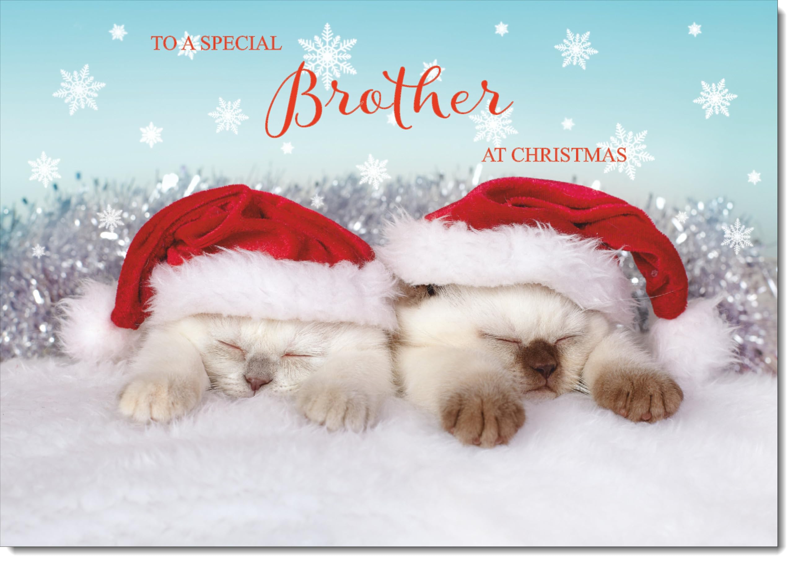 doodlecards Brother Christmas Card Two Cats with Santa Hats Large A4 Size Christmas Card for Brother with Plain Envelope