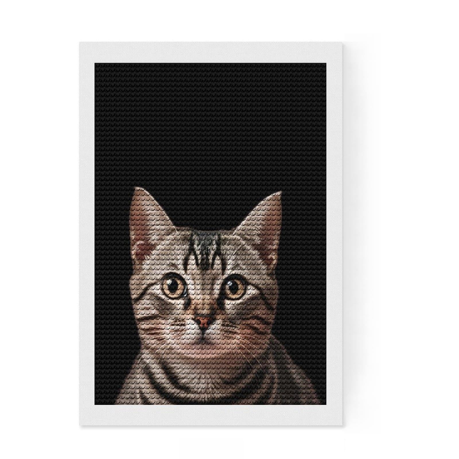 Junmoney Cute Cat Diamond Art Kit 8"x12", Easy to Follow Symbols, Complete Accessories, Relaxing DIY Hobby, Home Wall Decor