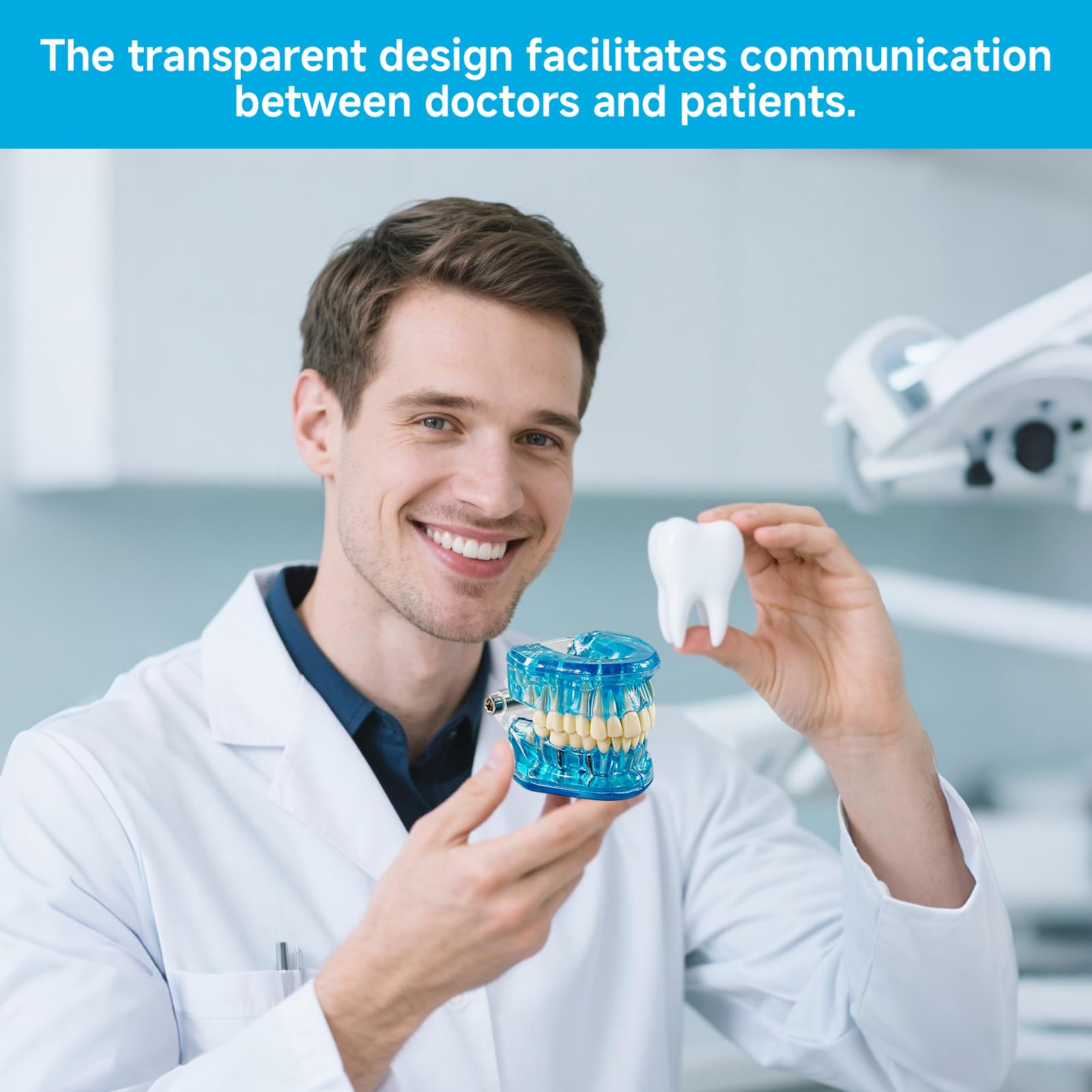 Zahnmodell mit Herausnehmbaren ZäHnen, Zahnimplantat Zahnmodell,Transparentes Modell Erkrankter ZäHne, modell für Zahnarzt, Dental Model für Demonstrationen und Studien(Blau)