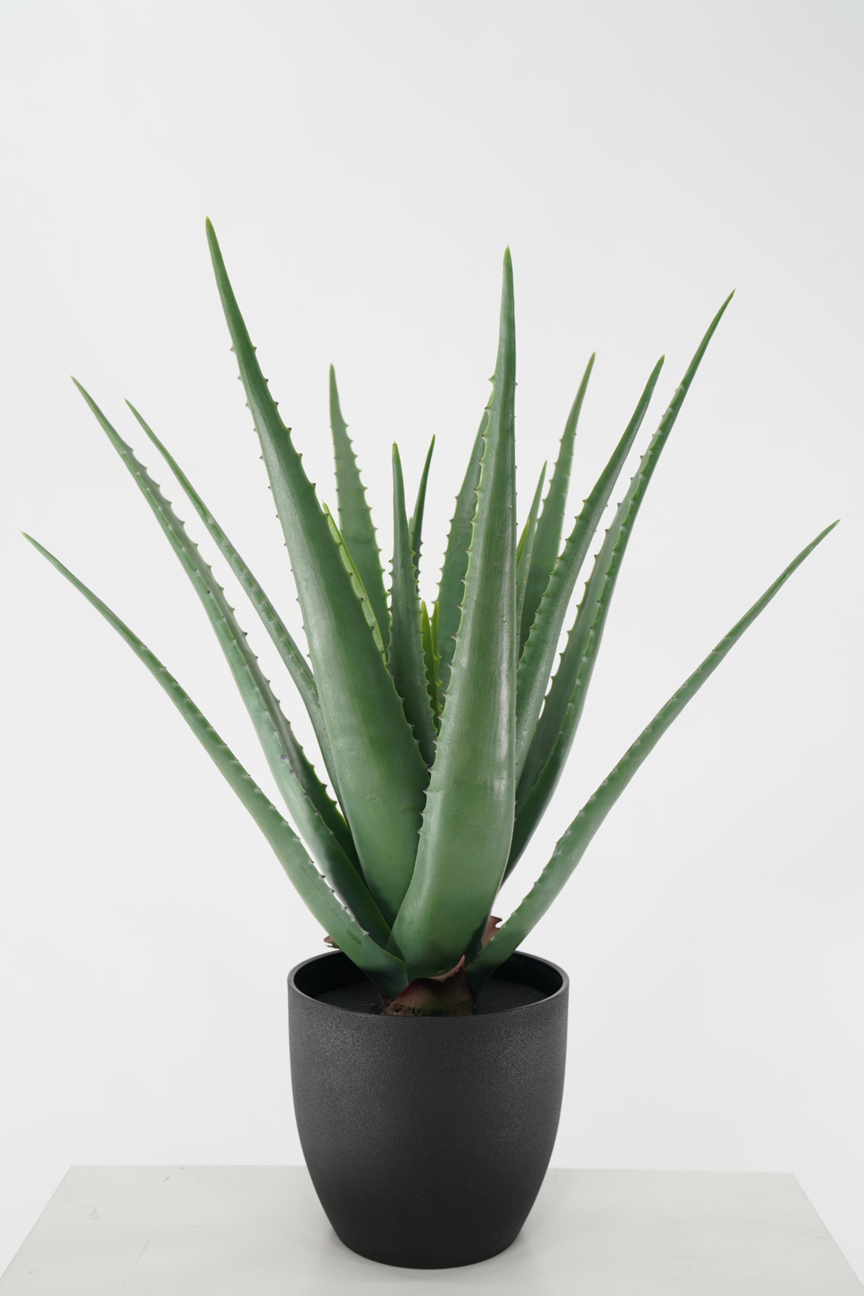 Aloe Artificiale Pianta Grassa Sintetica Realistica Foglie in Pvc per Arredare Interni e Attività Commerciali (Elisa - Aloe 69 cm)