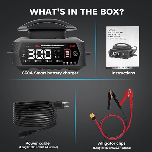 Miniatura 7 de Cargador de batería de 30 amperios, 6 V12 V24 V de plomo-ácido, litio, cargador de batería inteligente LiFePo4, cargador portátil de pantalla