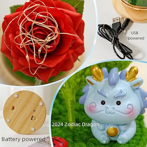 Miniatura 4 de Levvohd Rosas rojas, regalos de cumpleaños para mamá de parte de hija, rosa de la bella y la bestia, rosa iluminada en cúpula para su novia, mamá,