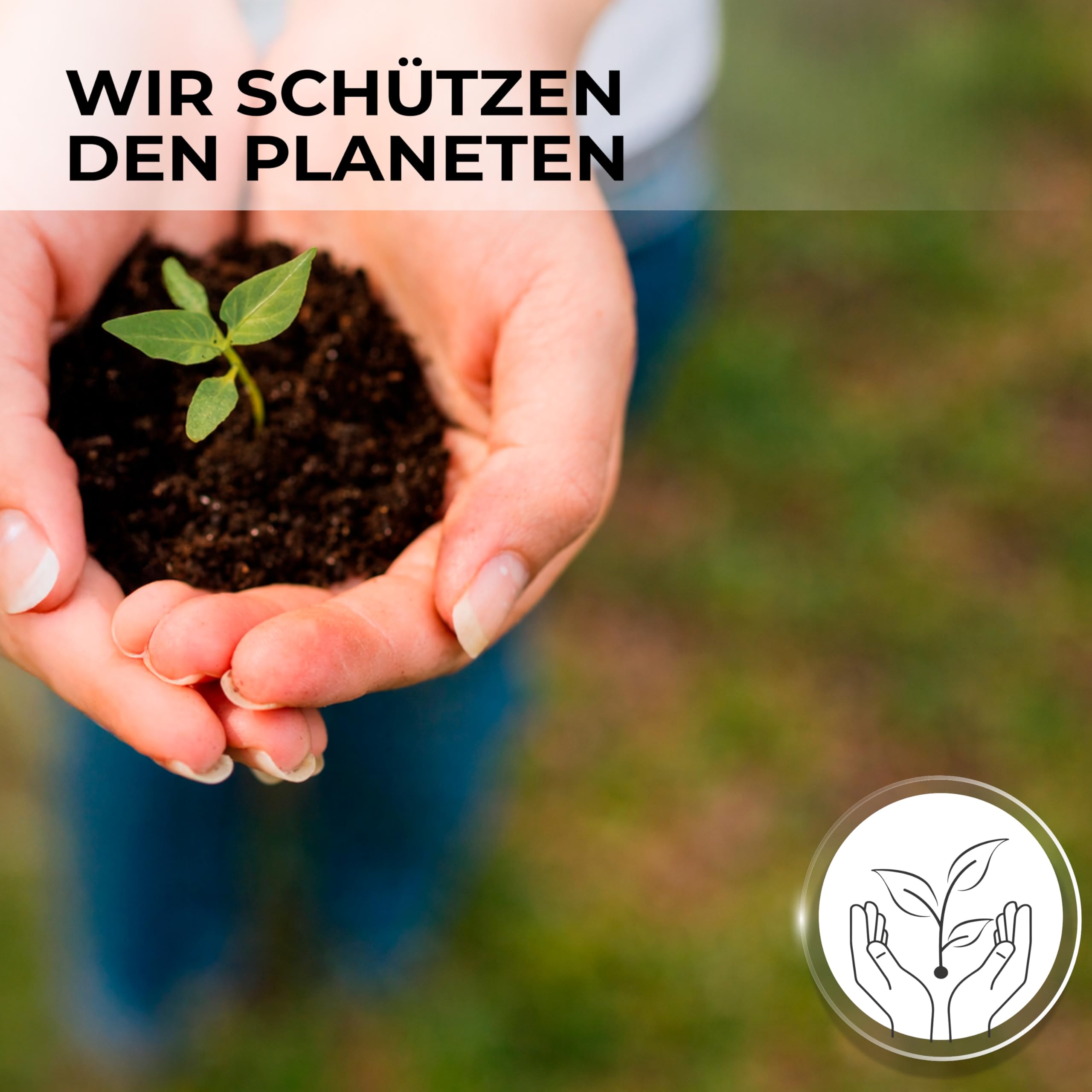 Ärztekrepp 1-lagig (59 cm x 70 m) 6 Papierrollen Grüne Farbe | Liegenabdeckung – Ärztekrepp