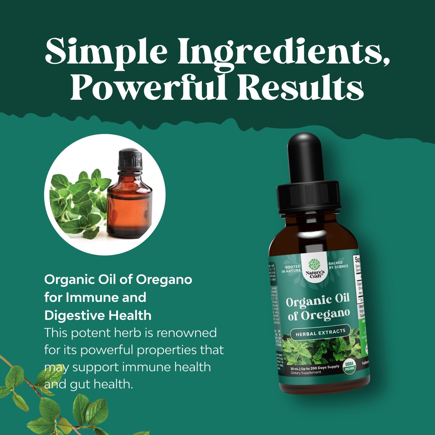 Organic Oregano Oil Drops - Concentrated Liquid Oregano with Carvacrol 60% for Digestion & Immune Support - Liquid Herbal Extract Tincture for Immune Strength & Healthy Intestines - 1 Fl Oz (2 pack)