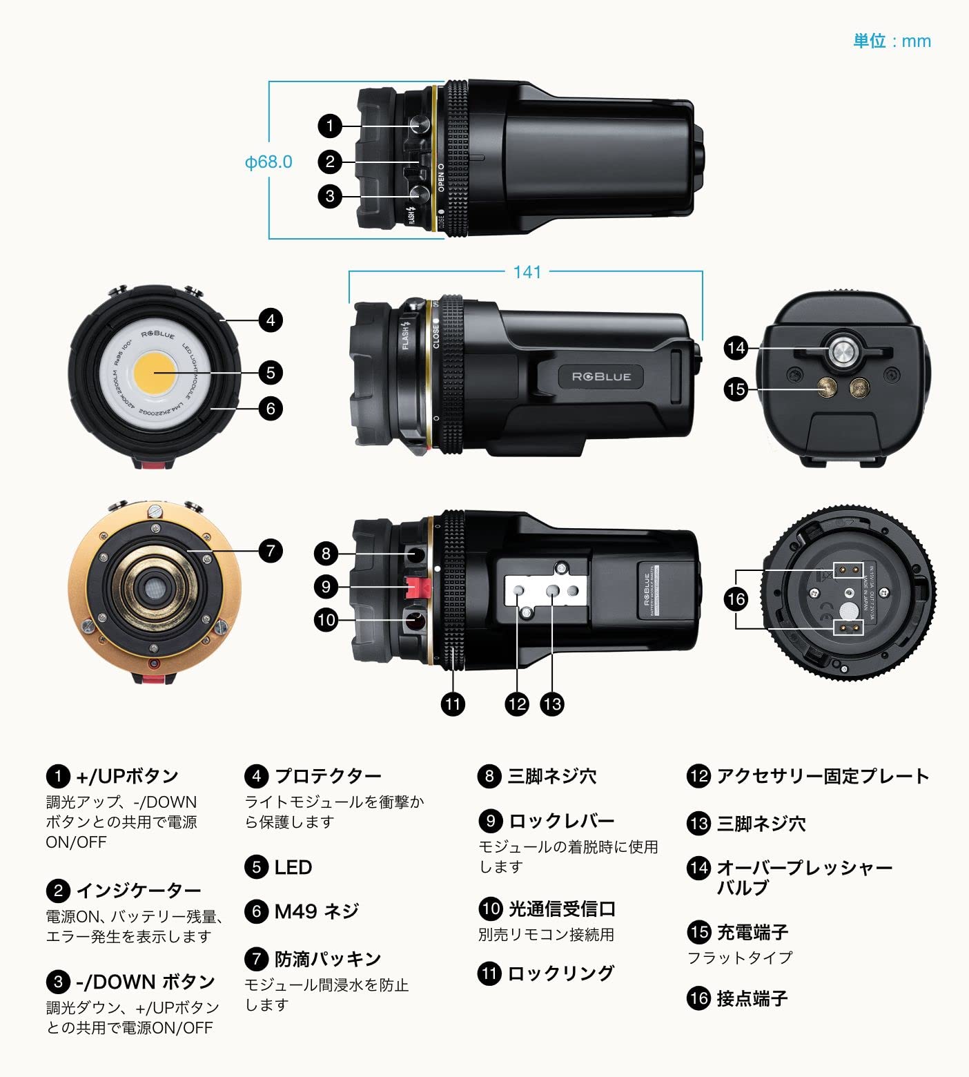 Amazon.co.jp: RGBLUE アールジーブルー SYSTEM02:re PREMIUM COLOR 