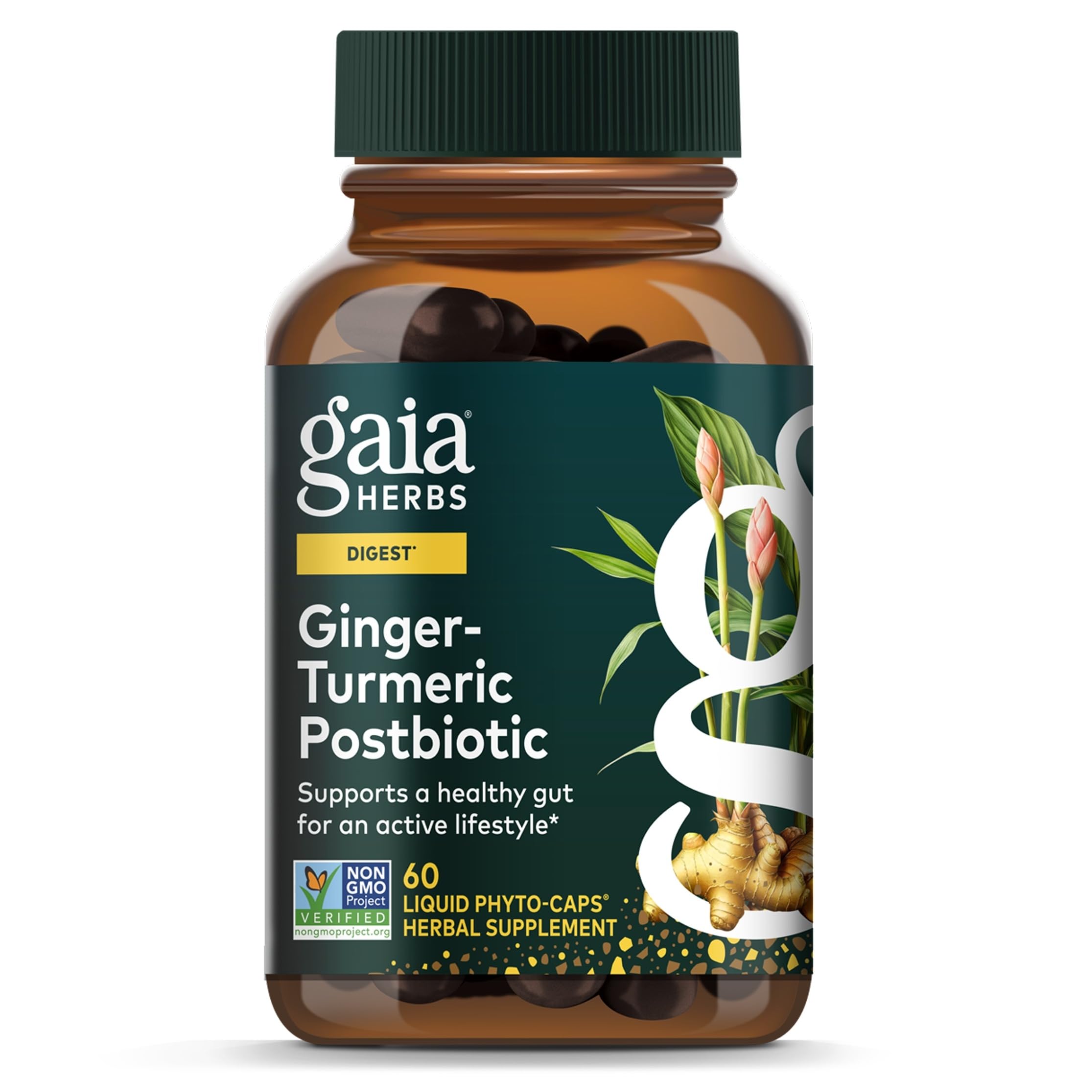 Gaia Herbs Ginger-Turmeric Postbiotic, 60 Vegan Capsules, 30 Servings