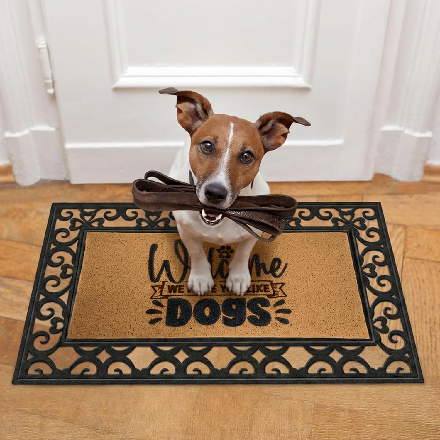 Breling 6 Pcs Dog Themed Door Mats for Front Door 22 x 10 Inches Interchangeable Funny Welcome Doormat Entrance Non Slip Mats Gifts for Dogs Lovers Indoor Outdoor Vintage Decoration