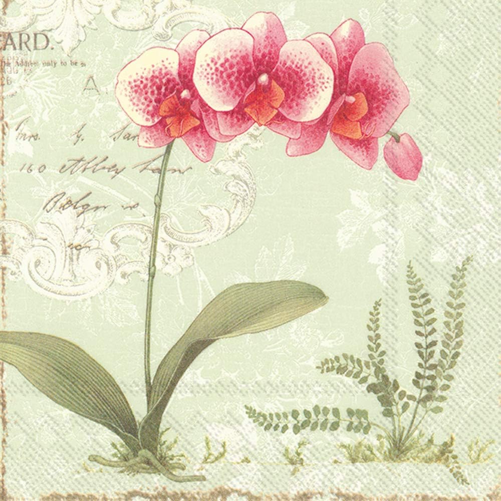 IHR 20-Count Cocktail Beverage Paper Napkins, 5 x 5-Inches, L'Orchidee Light Green