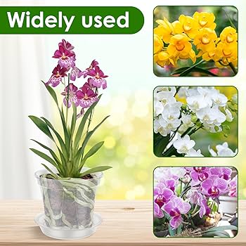 白鯨　アイアンプランター　セット販売　プランター鉢のまま発送 白鯨 アイアンプランター セット販売 プランター鉢のまま発送