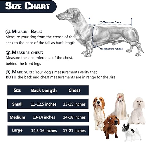 Miniatura 6 de Soporte de espalda para perros con IVDD, artritis, dolor de espalda, recuperación quirúrgica y rehabilitación, alivio del dolor de espalda de perro
