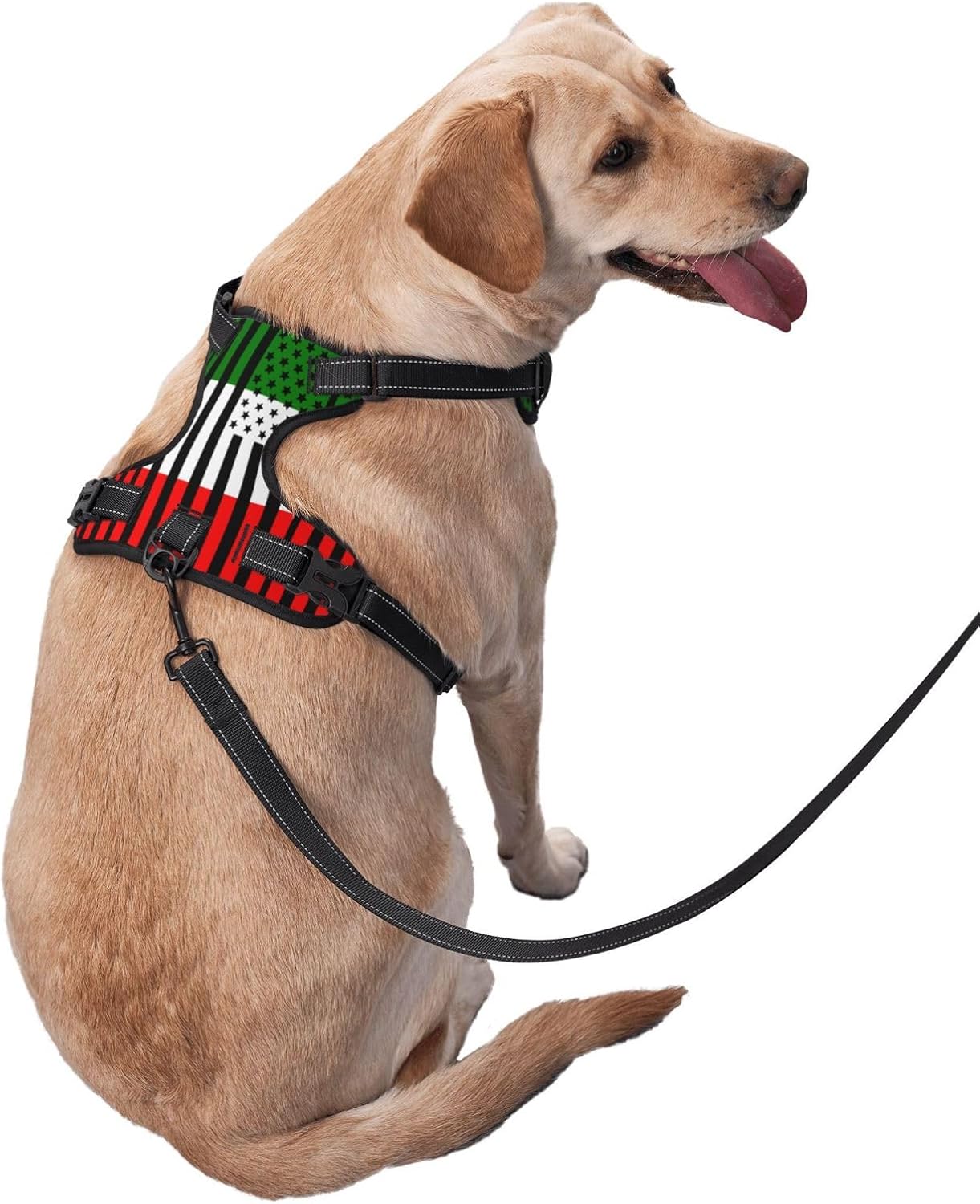 Italian American Flag Dog Harness Reflective Soft Padded Dog Vest Adjustable No-Pull Pet Vest