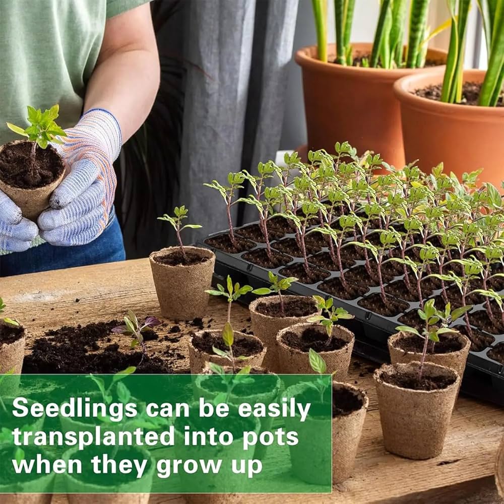 rcei ポット発送♈️616【Ashwood】EVOLUTION ASRock Unveils Z170 Motherboards - Shows off Z170 Extreme 7