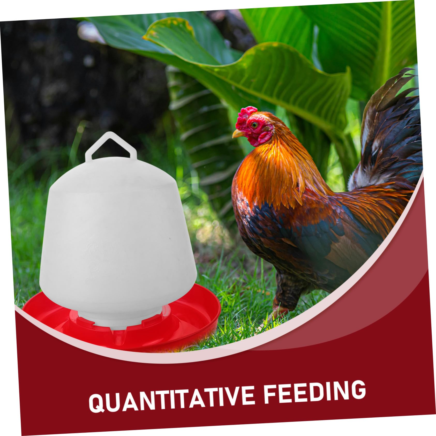 POPETPOP Mangiatoia per Pollame Portatile in Resistente Facile da Pulire e Installare Contenitore Stabile per Alimenti per Galline e Pulcini Protezione Anti-sporco per Uso Domestico e