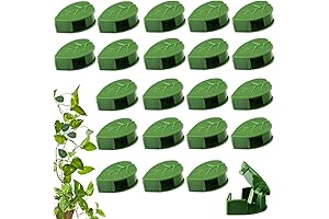 Plant Wall Clips _ Invisible Support for Your Indoor Green Oasis