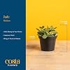 Product Photo 4