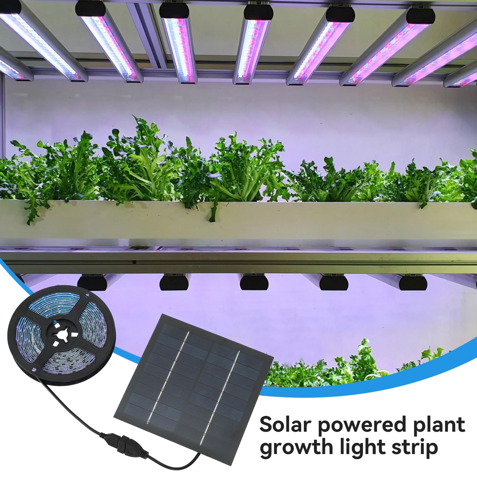 HERCHR Bande Lumineuse de Culture de Plantes Solaires, 5W 5V 5A Lampes de Culture à Énergie Solaire Poussent des Bandes Lumineuses Lampe Chauffante LED 5M pour Serre de Jardin