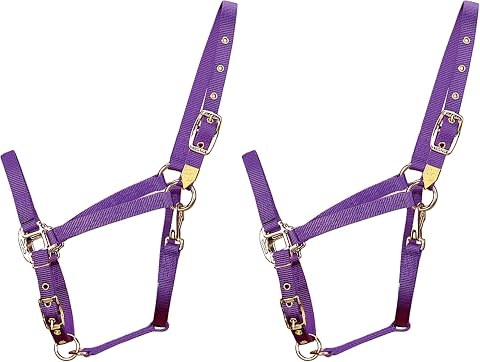 Hamilton sutyen Quality 2,5 cm genişliğinde Average, 800-1100 Pounds 1DAS AVPU (2 paketi)