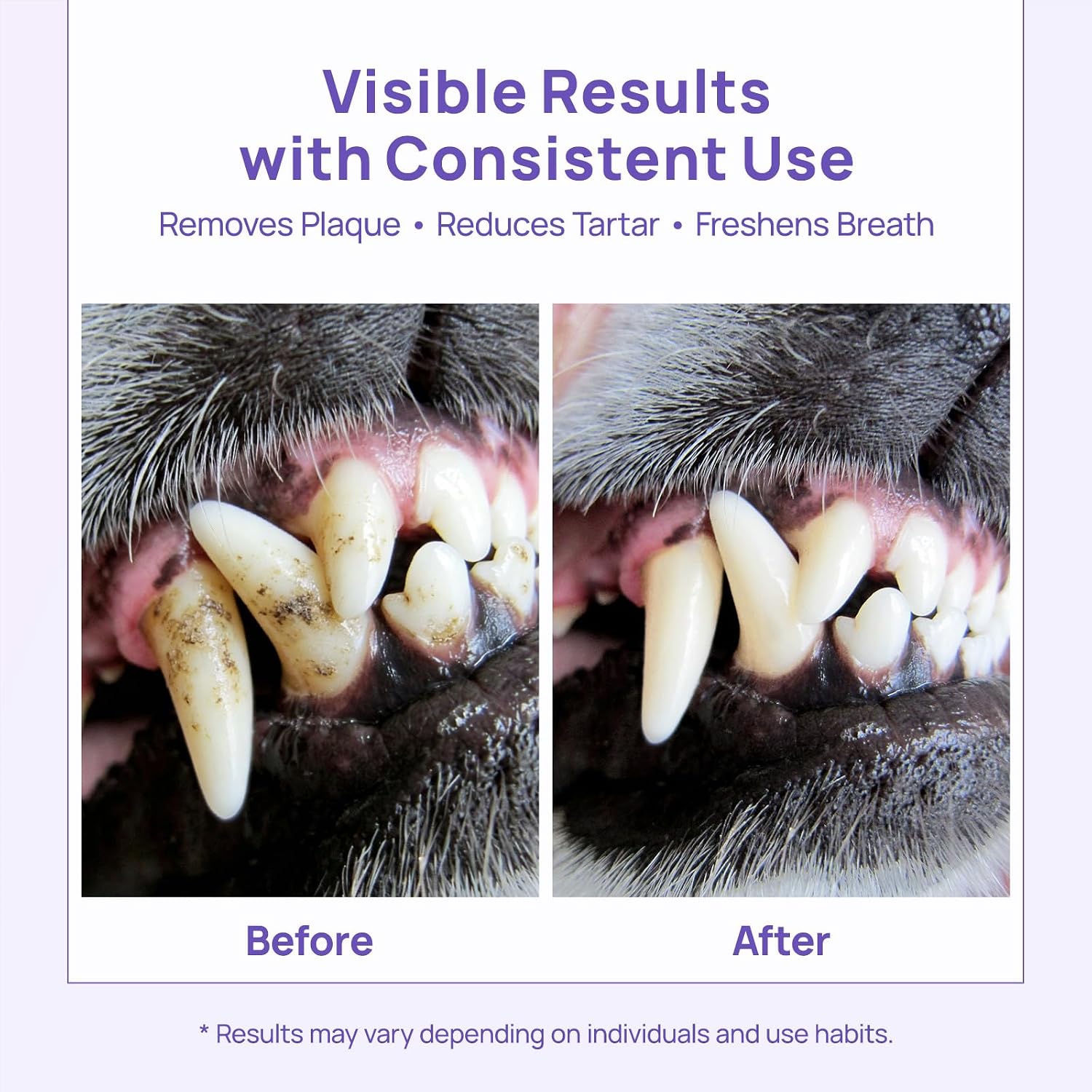 HICC PET 4-Enzymatic Dog Toothpaste - EnzyPlex™ Power Clean Toothpaste for Plaque & Tartar Control - Professional Canine Dental Care for Fresh Breath & Healthy Gums - Beef & Pumpkin Flavor, 2.82 oz