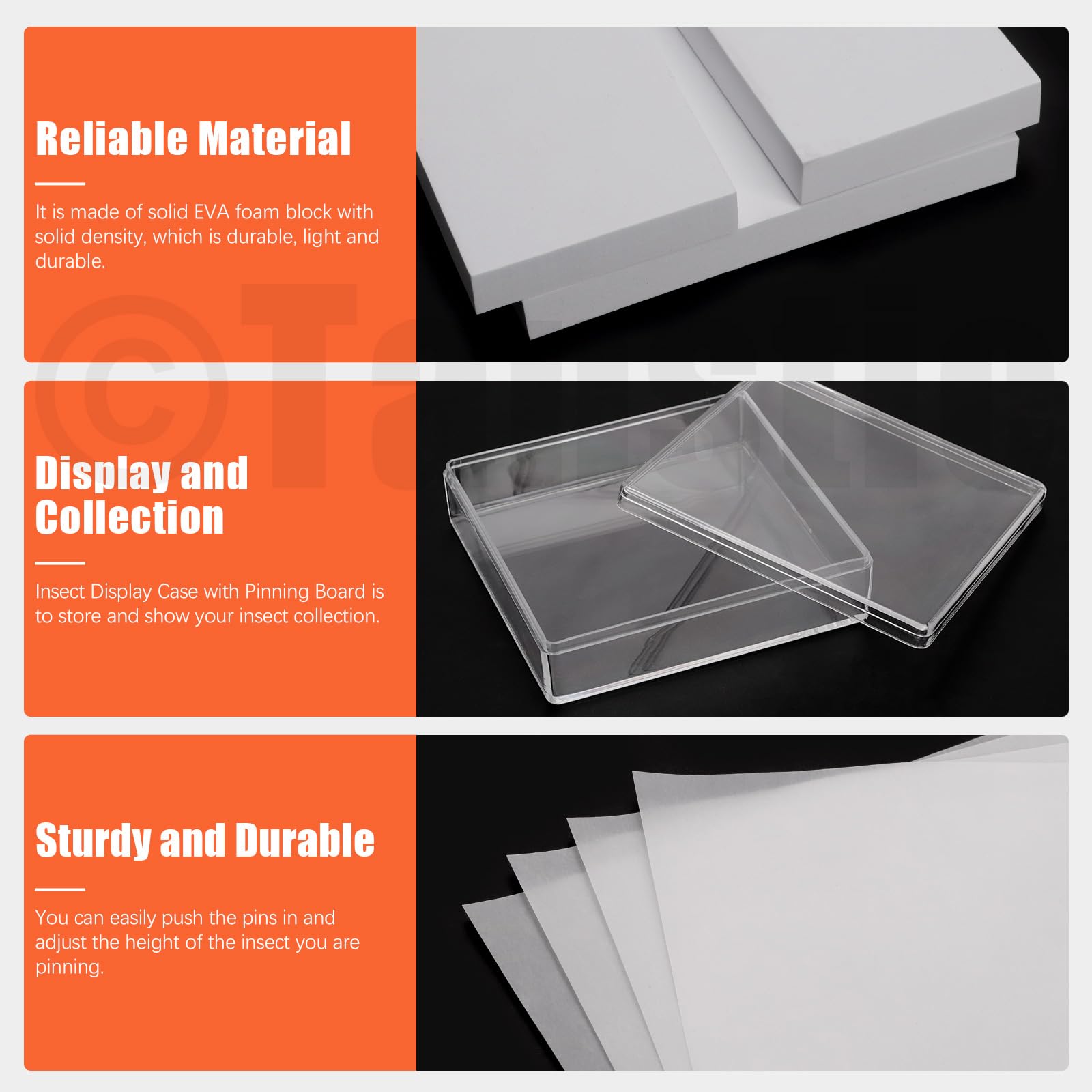 Tanstic Kit de herramientas para muestras de insectos, pinzas de insectos, vitrina de insectos, papel prensado de alas para colección de especímenes (114)