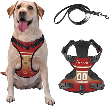 Custom San Francisco Dog Harness with Reflective Stripes Personalized Name and Number Dog Vest Harness with Pet Traction Rope for Small Medium Large Dog