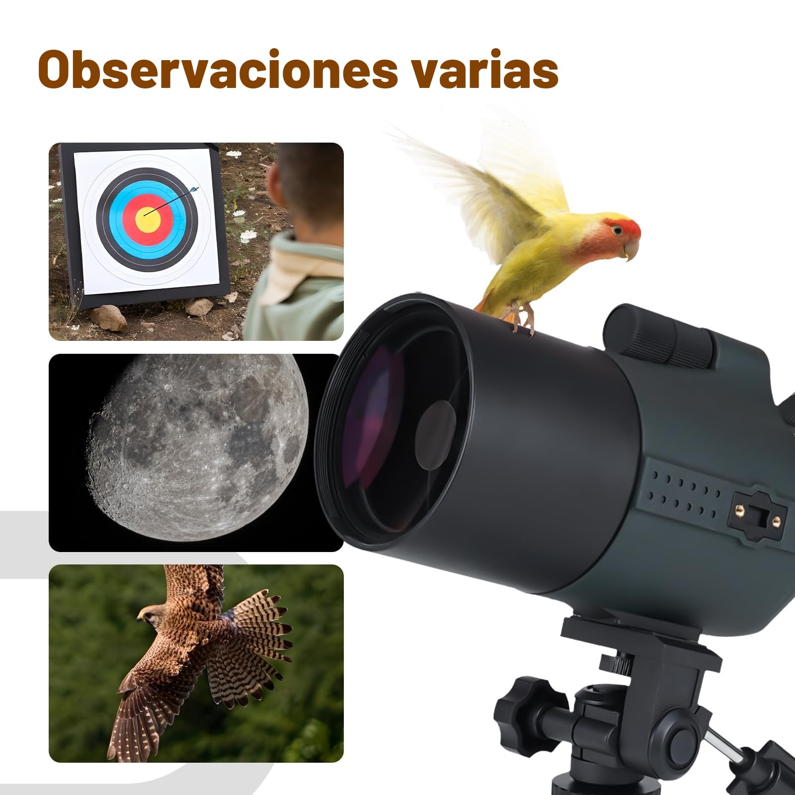 Svbony SV41Pro Mak Telescopio Terrestre con Trípode, 28-84X80 FMC, Enfoque de Doble Velocidad, Catalejos Compatible con Cámara WiFi SC001, Spotting Scope para Tiro al Blanco Caza, Astronomie, Aves