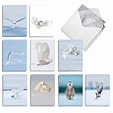 The Best Card Company - 20 Blank Note Cards with Envelopes (4 x 5.12 Inch) - All Occasion Animal Card Assortment (10 Designs, 2 Each) - Snowy Owls AM9518OCB-B2x10