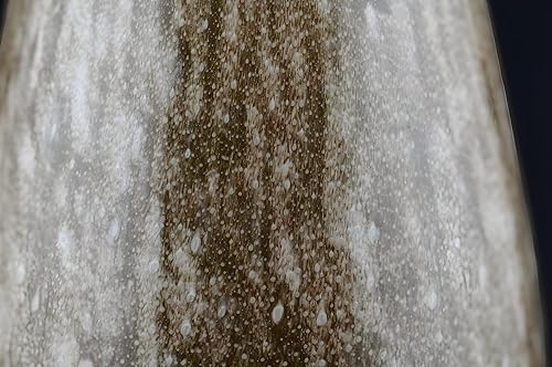 Miniatura 5 de Jarrón moderno orgánico Pequeño jarrón de vidrio marrón hecho a mano, 7 pulgadas, condimento marrón, decoración de mesa de vestíbulo, perfil bajo,