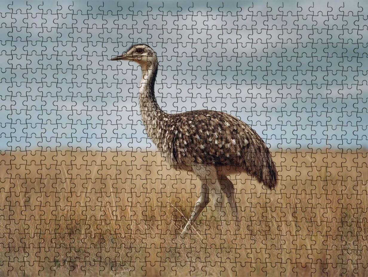 Puzzle 3000 Teile Erwachsene, StraußVogel Wiese Puzzle Herausfordernde Familie Aktivität Spiele, Geschicklichkeitsspiele Erwachsene, Herausfordernde Puzzles Geschenk für Freunde R2KH-865