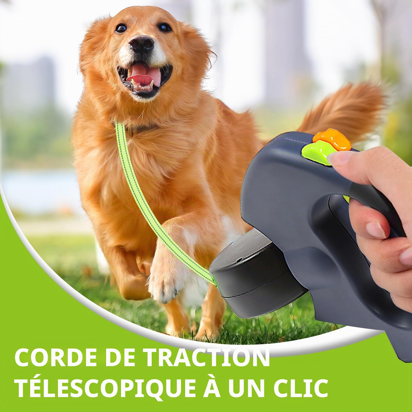 Laisse pour Chien, Laisse Chien Enrouleur, Double Laisse pour 2 Chiens, Laisse Rétractable Chien, Enrouleur, Extensible, Rétractable, 3 Metres, 360º sans Enchevetrement (Bleu)