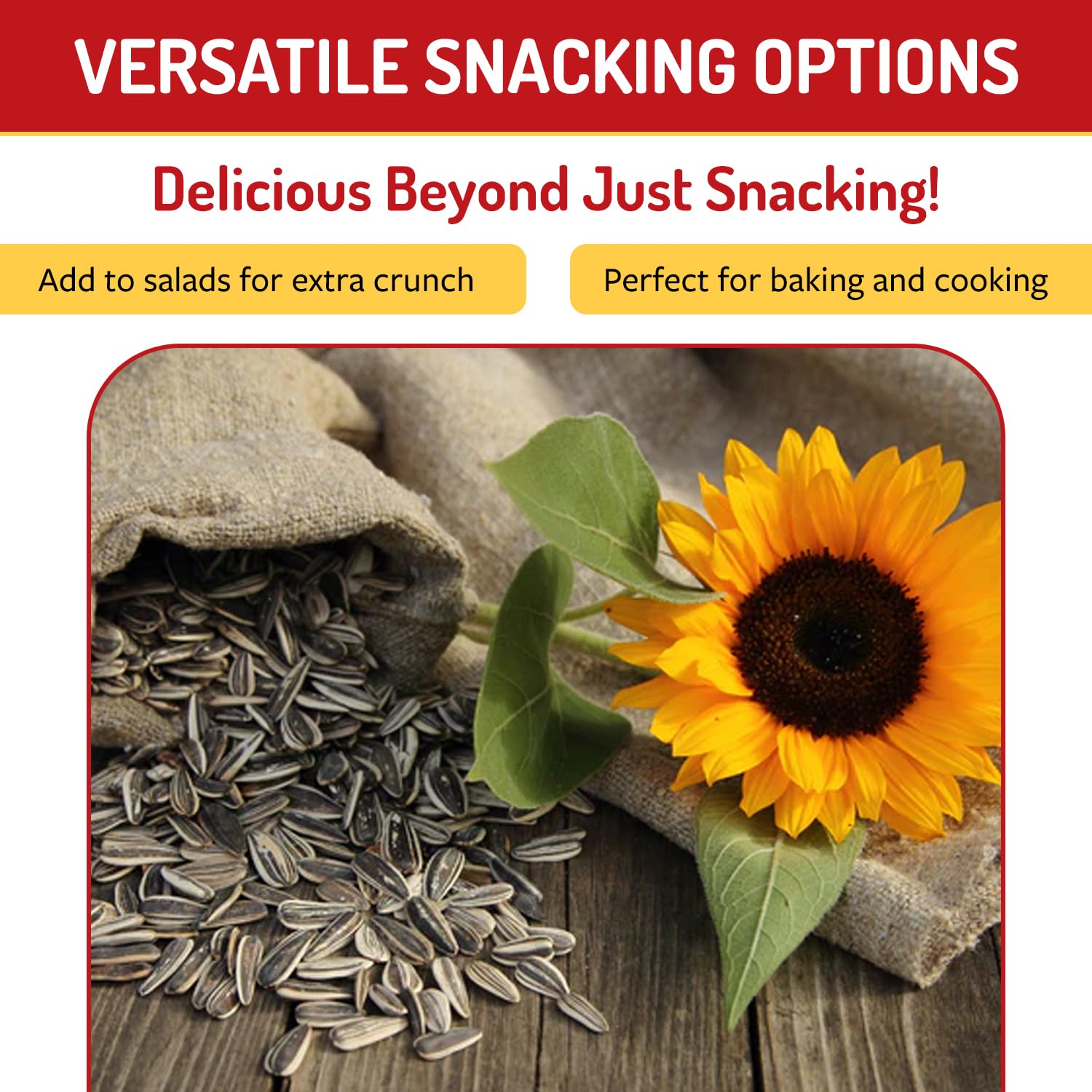 Babkini Semechki Sunflower Seeds - Non GMO Seed Packed with Protein& Fiber - Roasted Sunflower with Resealable Zip Lock Packaging - 12 Pack (300g)