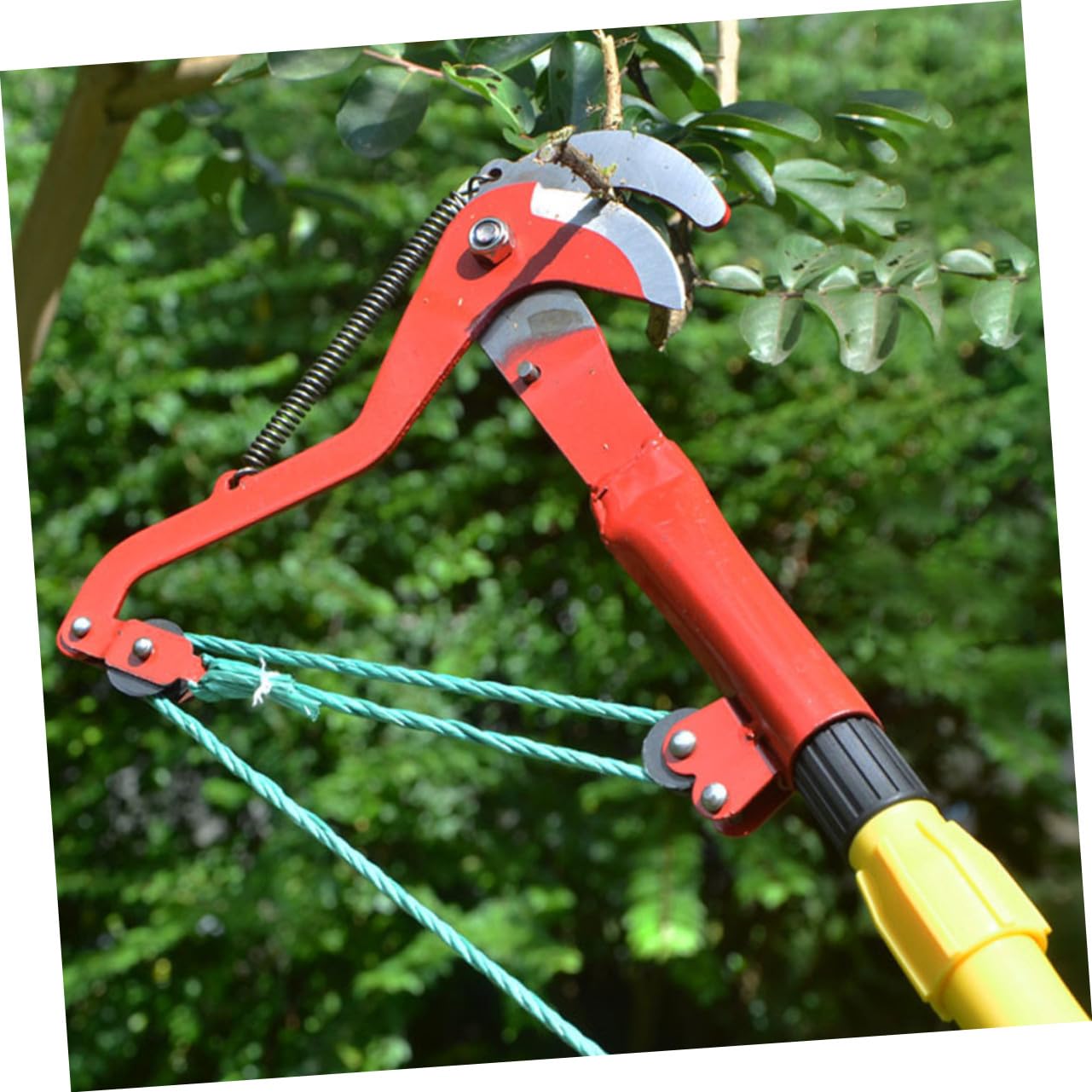 Pflanzenschneider Gartenschere ohne Stange aus Stahl, Rot für Zweige | Seil, Rebschere für Sträucher, Gartenschneidegerät mit Seil, Herbst Feier