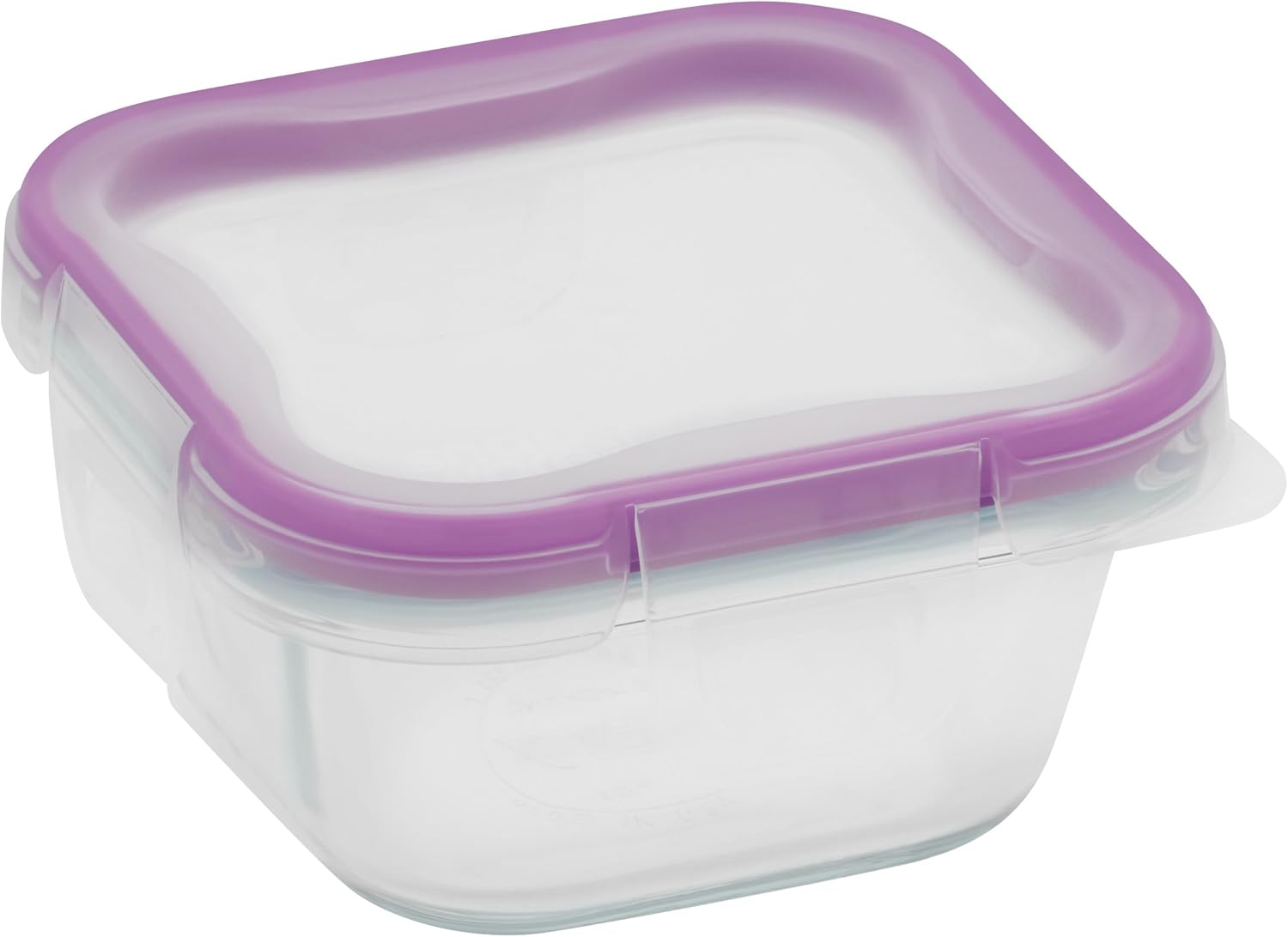 Snapware 1Cup Total Solution Square Food Storage Container
