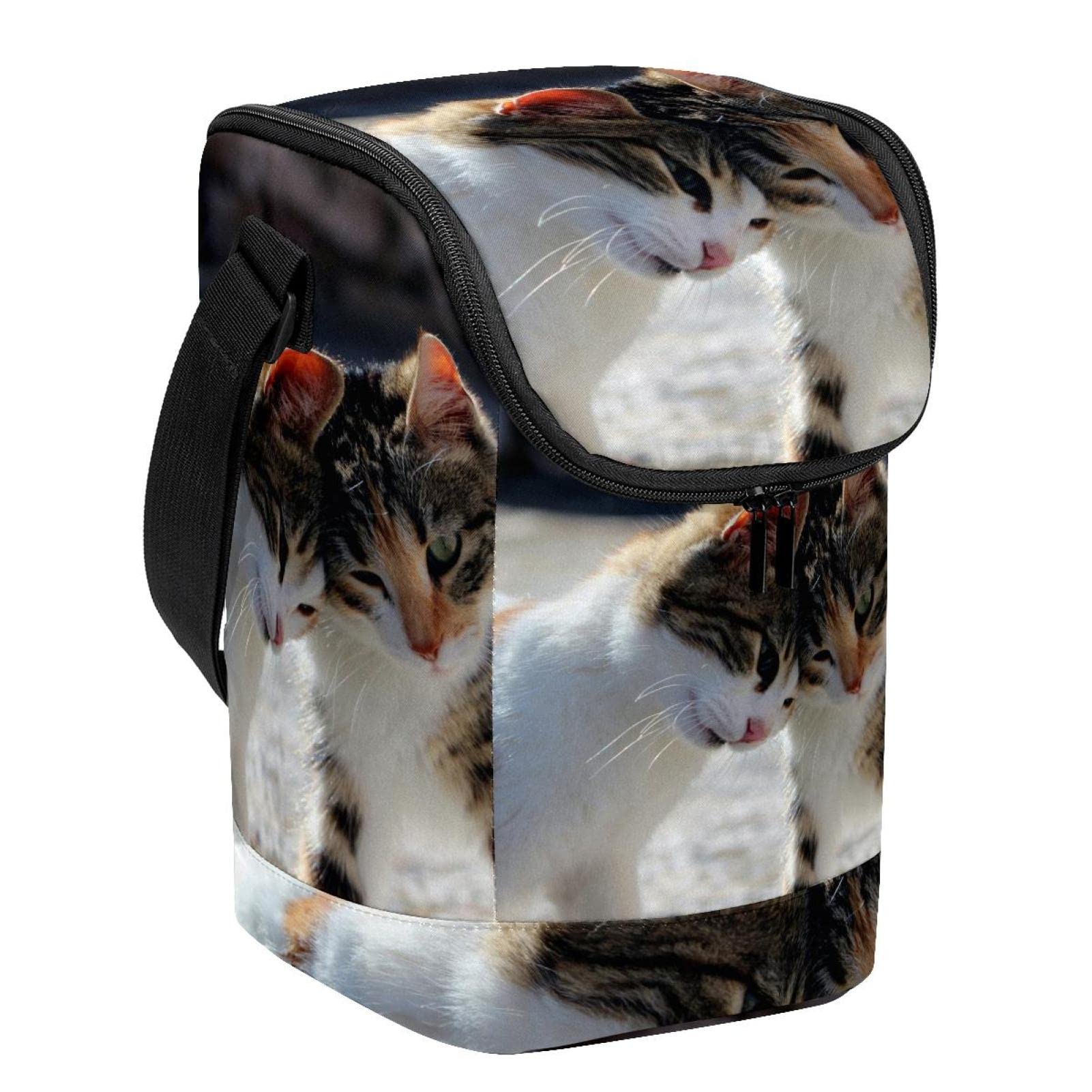Lonchera de gatos para llevar el almuerzo al trabajo o la escuela con estilo y frescura