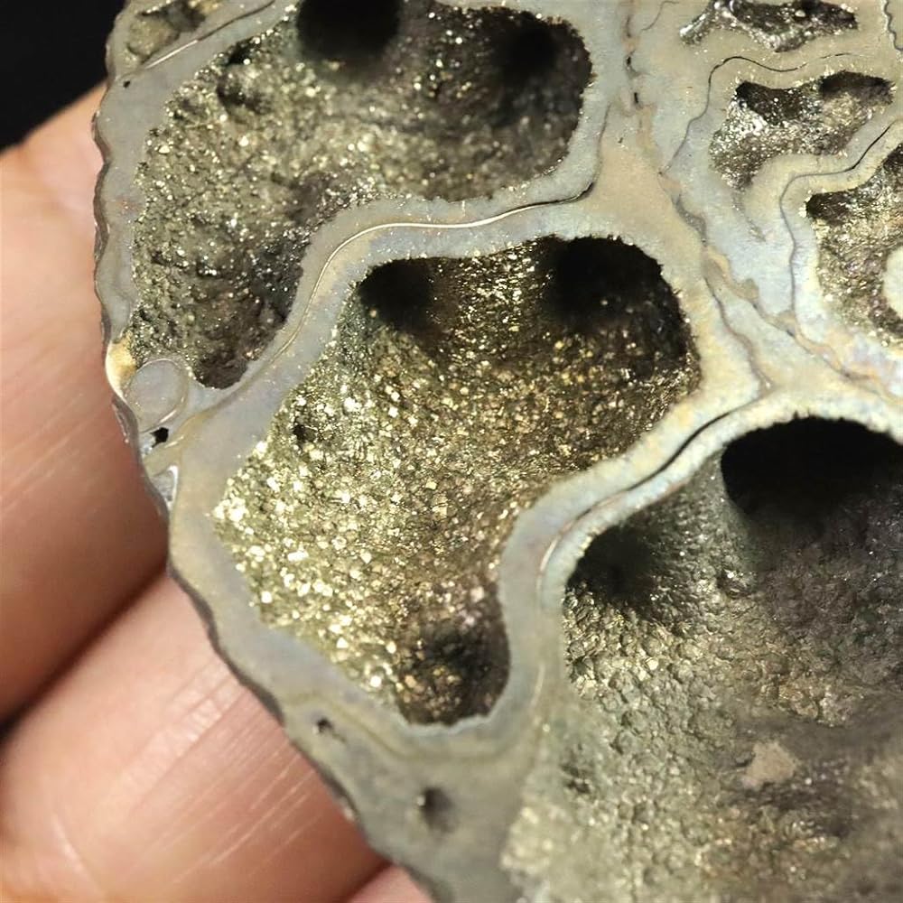 化石　アンモナイト　パイライト　美麗 パイライト アンモナイト 美麗 ドイツ産 大型標本 53mm - メルカリ